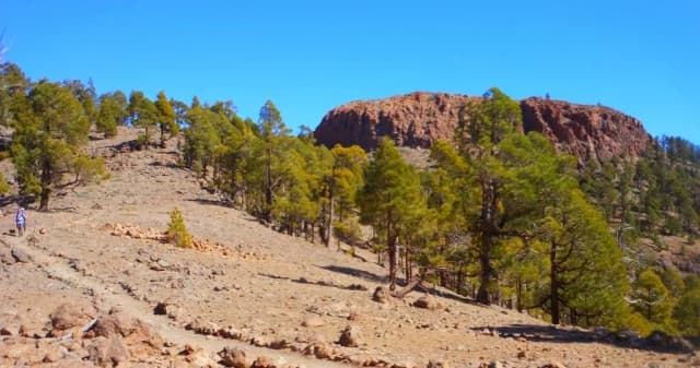 Explora la belleza y misterios del sombrero de chasna en Tenerife
